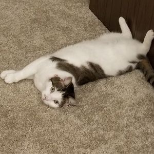 Meet your Posher, Lily